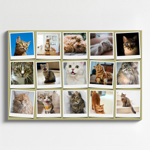 Collage photo Polaroid de votre chat - créez et personnalisez avec nom et texte