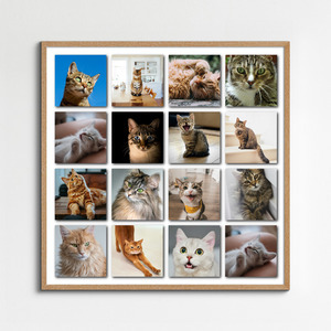 Collage photo Polaroid de votre chat - créez et personnalisez avec nom et texte