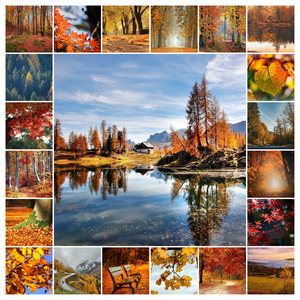 Créez votre collage photo Nature, paysages & animaux – 4 saisons, tirage premium