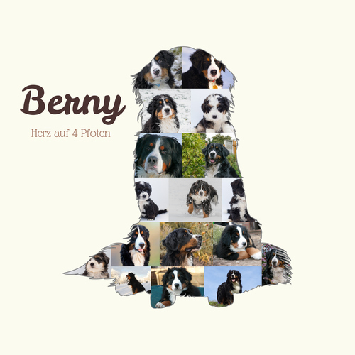 Collage Photo Chiens – Créez un Souvenir Personnalisé pour votre Berner Sennenhund