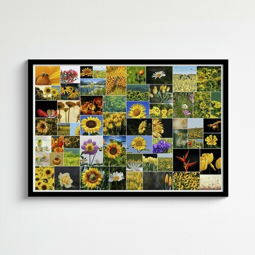 Collage sauvage avec photos de fleurs de jardin